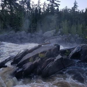 Meet your Posher, Dakota